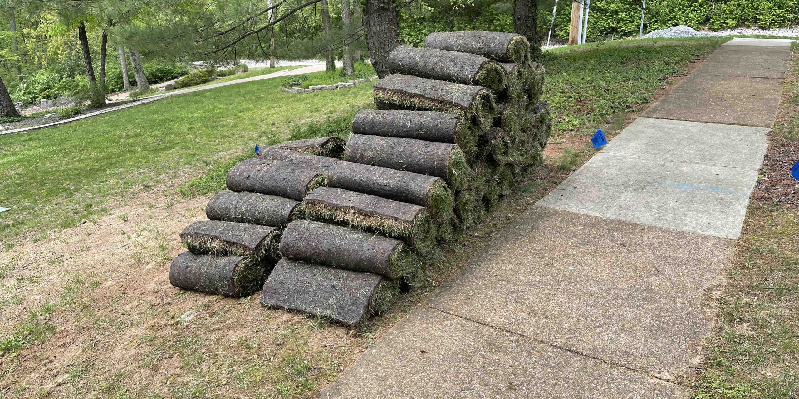 sod services